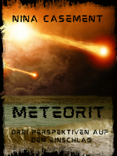 Coverbild Meteorit