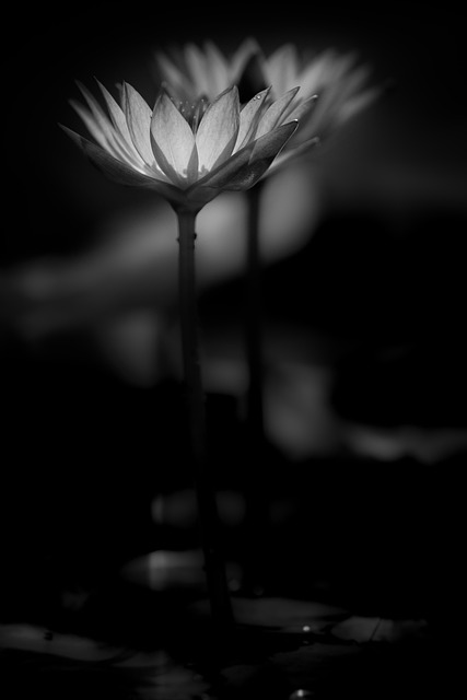 Beitragsbild "Alte Meister", Nietzsche